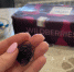 Силиконовые резинки с Wildberries скупаю пачками — но волосы ими не собираю: дома заменяют сразу 7 мелочей - Pro Город Ухта