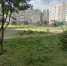 Как жители Брянска могут улучшить город - Брянская улица