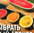Как выбрать сладкий, вкусный и безопасный арбуз? - Веселовский район
