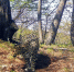Фото банка ВТБ (ПАО) - Sk-News.Ru