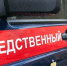 Следственные органы устанавливают обстоятельства гибели подростка в Каширском районе - Следственный комитет