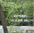 К осени появится новое пространство для детей в Благовещенске (фото) - Amur.Life