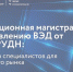 Новые горизонты для международного развития - магистерская программа «Управление ВЭД» - Департамент Экономразвития