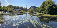 Черная вода, дохлая рыба, запах гнили и пустые дома: репортаж из самых затопленных районов Тюмени. ФОТО, ВИДЕО - MegaTyumen.Ru