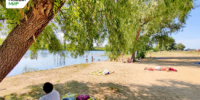 Вода на курганских пляжах безопасна - Новый мир