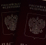 С 2027 года в загранпаспорта родителей перестанут вписывать детей - ГТРК