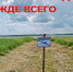 На водоемах Половинского округа продолжаются рейдовые мероприятия по безопасности на водных объектах. - Половинский муниципальный округ