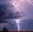 Фото: News29 - News29.Ru