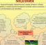 Как уберечься от молнии? - Белокатайский район