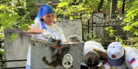 Волонтеры Победы приводят в порядок воинские захоронения в Нижнем Новгороде и округах области - Правительство Нижегородской области