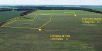 Древние курганные могильники под Липецком стали объектами культурного наследия - Липецкая ГТРК