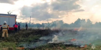 В Кировском районе пожарные ликвидировали возгорание сухой травы - Вести Крым