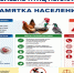 Владельцам домашней птицы в Кашире напомнили о мерах защиты от опасных инфекций - Администрация г.о. Кашира