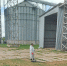 Новгородские хозяйства готовят к приёму картофеля и других культур - Газета Новгород