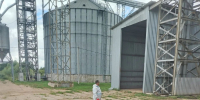 Новгородские хозяйства готовят к приёму картофеля и других культур - Газета Новгород