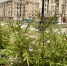 Четыре района Петербурга благоустроили с опережением - Санкт-Петербург.ру