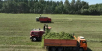В Башкортостане убрали более половины кормовых культур - Министерство сельского хозяйства