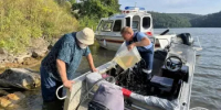 На Павловском водохранилище спасатели эвакуировали мужчину с пробитой лодкой - Комитет по чрезвычайным ситуациям