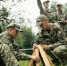 article23285.jpg - 59i.Ru