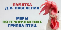 Памятка «Мероприятия по профилактике высокопатогенного гриппа птиц» - Земетчинский район