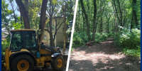 Лес превращается в стройку? Ставропольцы забили тревогу из-за вырубки деревьев в Таманском лесу - Bloknot-Stavropol.Ru