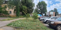 В рамках действующего муниципального контракта подрядной организацией ИП Грецев Д.Е. проведены плановые работы в Сеймском округе. - Город Курск