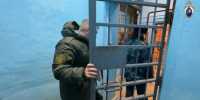 Суд приговорил Павла Сурина к четырём годам лишения свободы условно. - Новгородские Ведомости