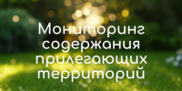 Содержание прилегающих территорий торговых объектов. - Стародубский муниципальный округ