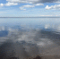 Фото: ПАИ - InformPskov.Ru