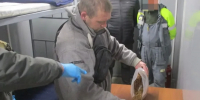 Жителя Белгорода осудили за контрабанду марихуаны через брянскую границу - Газета Брянские новости