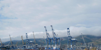 Через порт Новороссийска резко вырос экспорт пшеницы - Газета Новороссийский рабочий