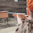 Военно-спортивный лагерь в Югре становится все популярнее у детей - ГТРК Регион-Тюмень