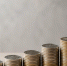 Средняя зарплата в РФ в мае выросла на 10,1% до 110 216 руб. - ProKazan.Ru