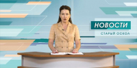 Новые жертвы украинского террора на Белгородчине - 9 Канал Старый Оскол