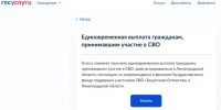 Участники СВО из Ленобласти смогут подать заявления на выплаты через «Госуслуги» - 47Channel.Ru