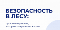 Молодежка предупреждает: лес – место повышенной опасности - Технологический университет