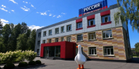 Пропавший гусь - ГТРК Псков