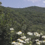 К чему может привести беспечность при отдыхе на природе? - Архыз 24