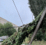 eb767wa64tl31zdqp23m5y28a2zstn8l - Novosti-Saratova.Ru