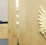 Фото пресс-службы Государственной думы - Вологда-поиск