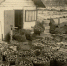 30 июля 1928 года из Николаевска-на-Амуре Ольскому РИКу были высланы семена для пробного посева - Kolyma.Ru