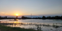 20260510_193526 - Сетевое издание Арбуз