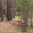 image - GazetaRB.Ru