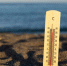 В Новосибирской области аномальная жара +30°C задержится до 5 августа - Precedent.TV