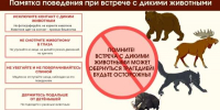 Профилактика зацепинга - Администрация г. Хабаровска