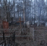 На Северном кладбище в Ярославле проведут вырубку деревьев - YarNews.Ru