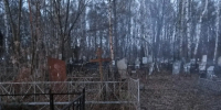 На Северном кладбище в Ярославле проведут вырубку деревьев - YarNews.Ru