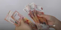 В нацпарке «Башкирия» нашли нарушения при закупках на 1,2 млн рублей - Башинформ