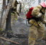 В лесопожарные формирования Ульяновской области поступило новое оборудование - Газета Кузоватовские вести