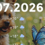 Bazaart_9335D9CD-C206-4A9A-B152-C63E9B240AA2 - ЗА Новомосковск